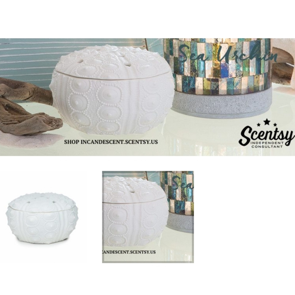 Scentsy Sea Urchin Warmer